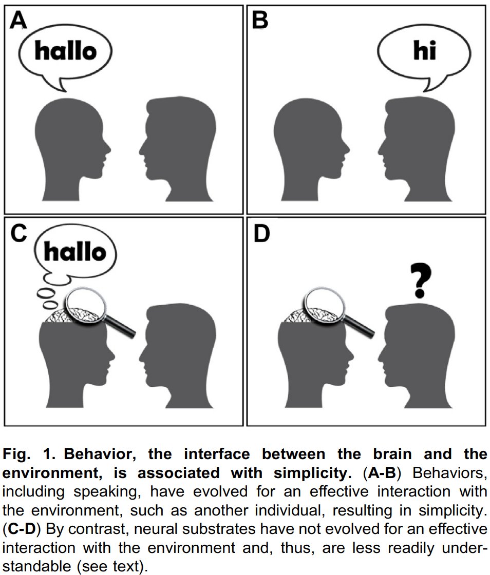 igor branchi, moving to @igorbranchi.bsky.social tweet media