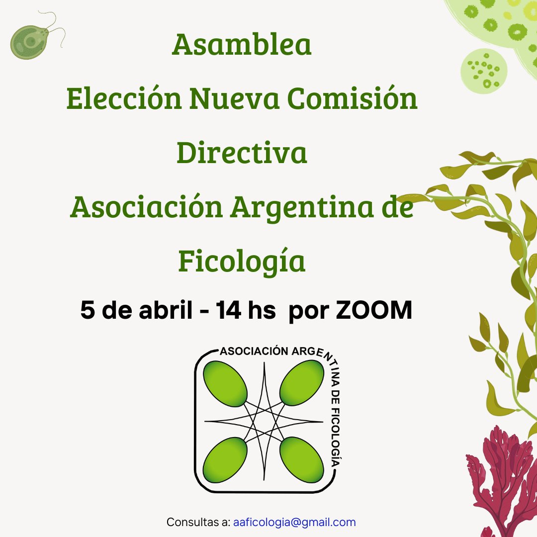 ficologia's tweet photo. https://t.co/NzLMvti4SY