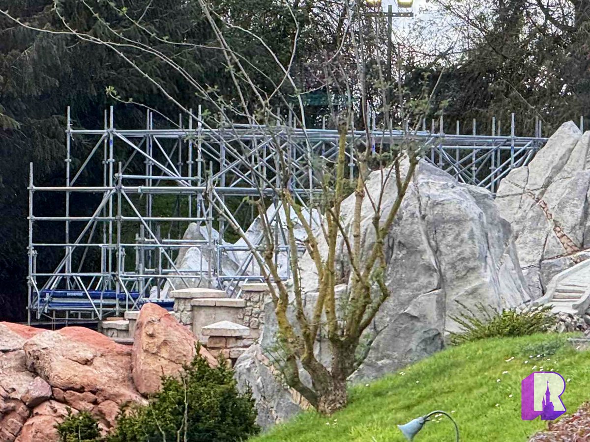 DLP Report tweet media