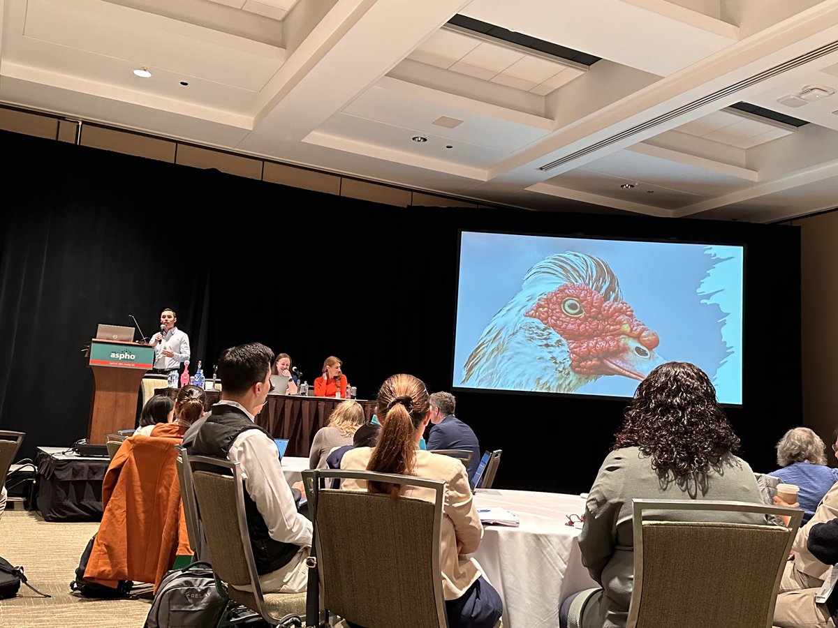 Excited for the start of #ASPHO24!! Mixing some humor with early morning learning at the Vascular Anomalies Pre-Conference session. ⁦<a href="/ASPHO_hq/">American Society of Pediatric Hematology/Oncology</a>⁩