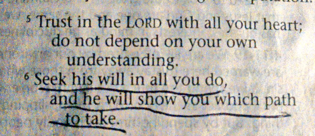 Amen!
Prov 3:5-6