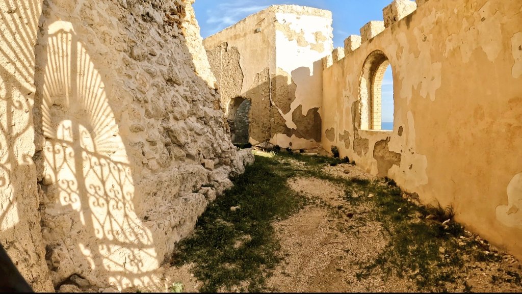 AscendingAlter's tweet photo. Oggi sul mio canale il nuovo video!
Tema del giorno: Castello del 1353 🏰
#esplorazione #exploration #urbex #parkour #urbexworld #adandonedplaces #forgottenplaces #parkour #tombraider #tombexplorer #alphaascensionadventures #avventura #adventures #archeologia #archeology https://t.co/fA0CEJnNp3