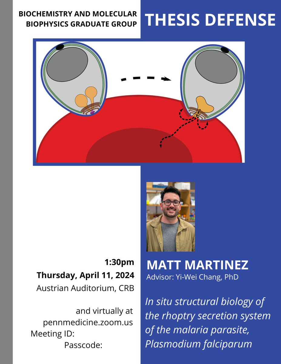 I'm proud to share that I'll be defending my PhD on April 11th! DM me for the Zoom details if you would like to attend virtually!