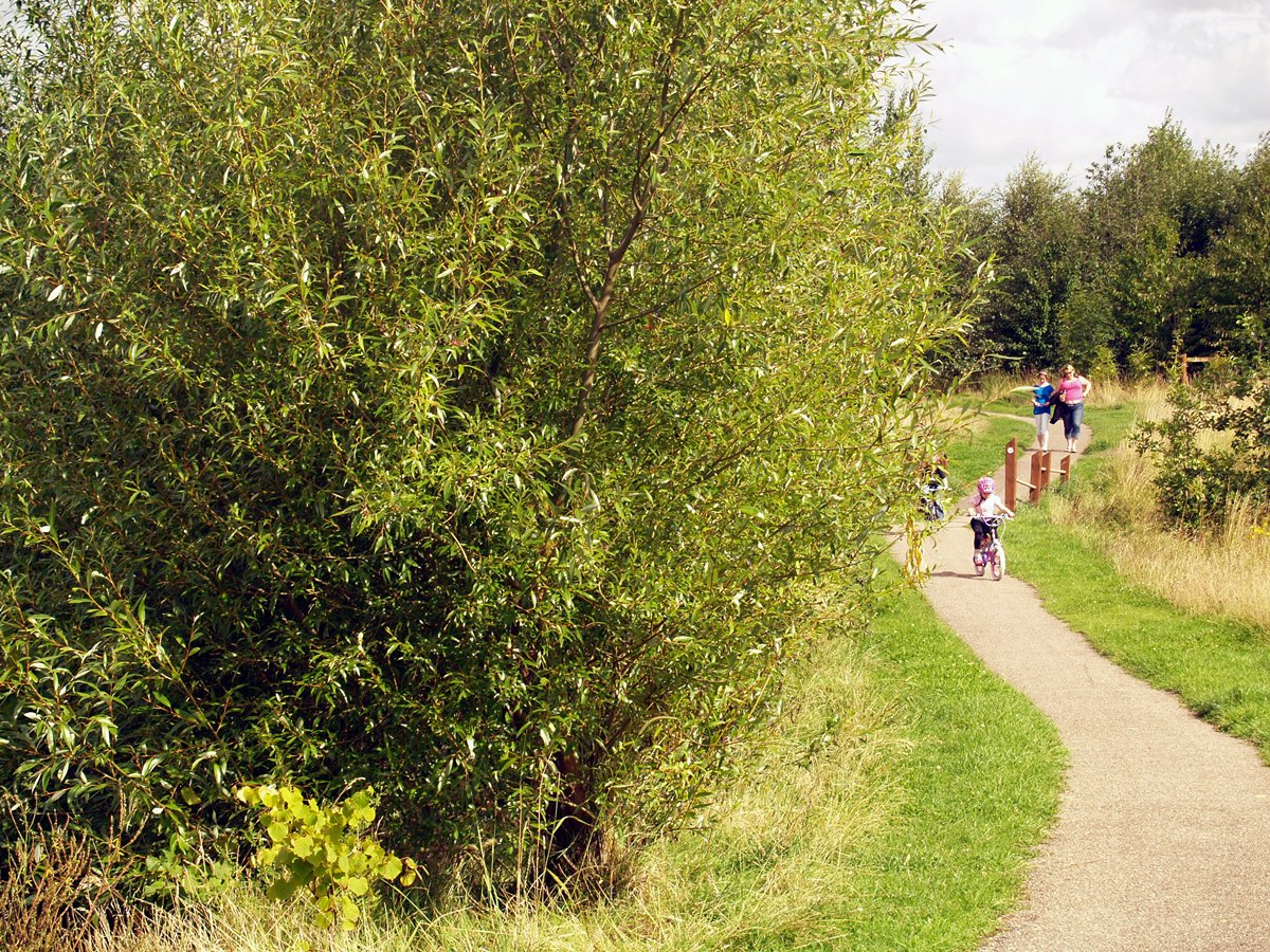 Write the Wilderness is supported by @HeritageFundUK made possible thanks to National Lottery players and @NatForestCo Arts Grant.

#Swadlincote #poetry #writingworkshops #derby #derbyshire #NationalLotteryHeritageFund #TheNationalForest