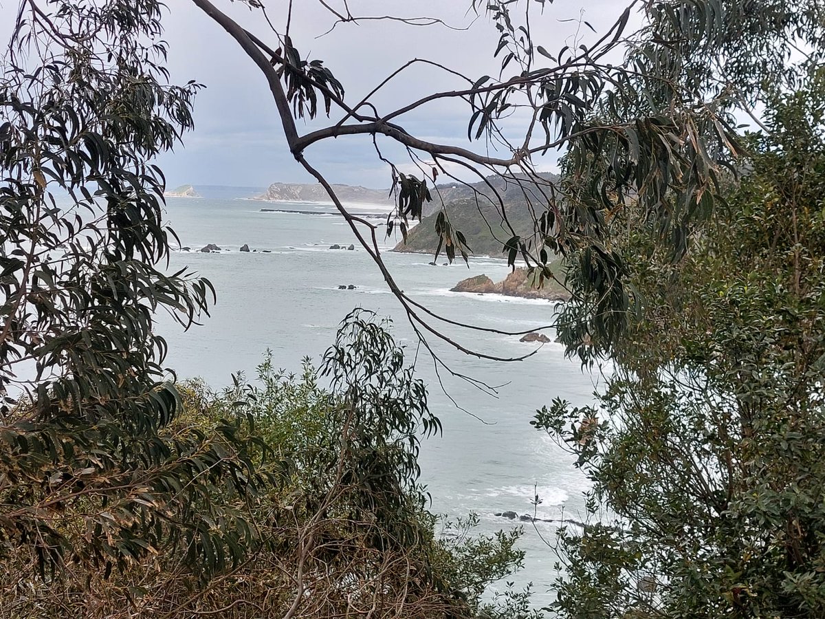 geograstur's tweet photo. Visitamos l'estremu oriental de la costa de Cudillero. Dende equí pue observase la islla La Deva, la mayor d'Asturies, arriendes de la barra de San Esteban, llugar onde'l Nalón s'axunta col mar Cantábricu #LaFotoDeGeograstur

📌 El Pito (Cudillero/Cuideiru)
📸 Nacho Fernández https://t.co/DKrvWYBdWR