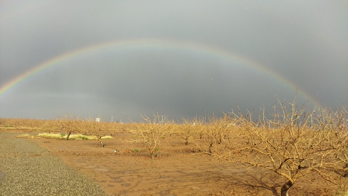 و پس از بارانی دلپذیر...
#bestpic #rainbow #rain #Iran #mashhad
