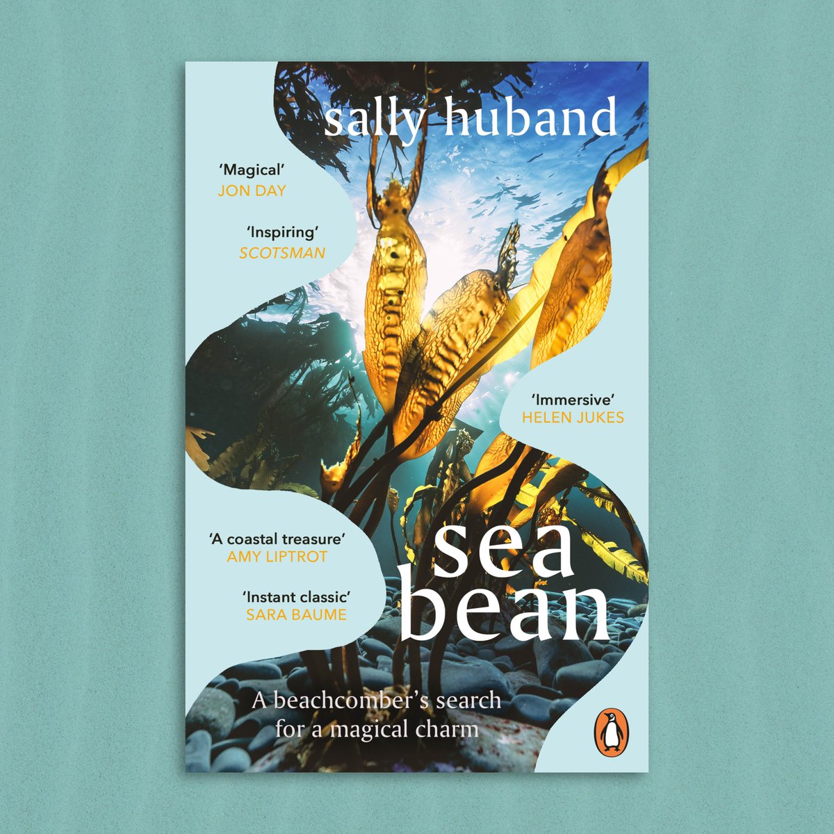 Out today! Sally Huband's memoir on a powerful journey of sea and self, trial and hope on the islands of Shetland, SEA BEAN is out in paperback today. 🐚 'Inspiring' SCOTSMAN 🌊'A coastal treasure' AMY LIPTROT 🫘 'Magical' JON DAY 🐚'Immersive' HELEN JUKES #SeaBean 🌊