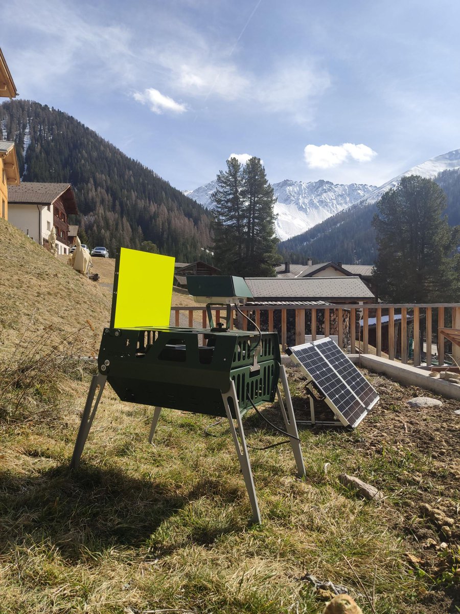 Are you interested in insect monitoring using cameras and AI and looking for a paid intern in the Swiss Alps? I am looking for a motivated candidate who helps installing Diopsis Cameras along elevational gradients, and advance the image analysis @SLFDavos apply.refline.ch/273855/1630/pu…