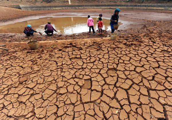 nellysalvatoreB's tweet photo. Alarming #drought grips #Zimbabwe, fueled by climate change. Water reserves at critical lows. Communities need our help. Donate to relief efforts & fight for climate action! #StandWithZimbabwe #climatechange #climateaction
📷 @cgtnafrica https://t.co/7I3azzIziP