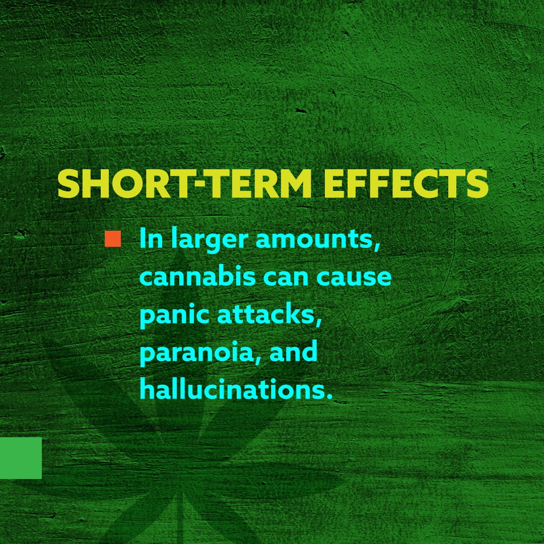 If you feel like cannabis is affecting your mental health, UHS has providers who can help. Cannabis eCheckup can also help you assess your relationship with cannabis. Find it at this link: echeckup.sdsu.edu/usa/mj/coll/uw…