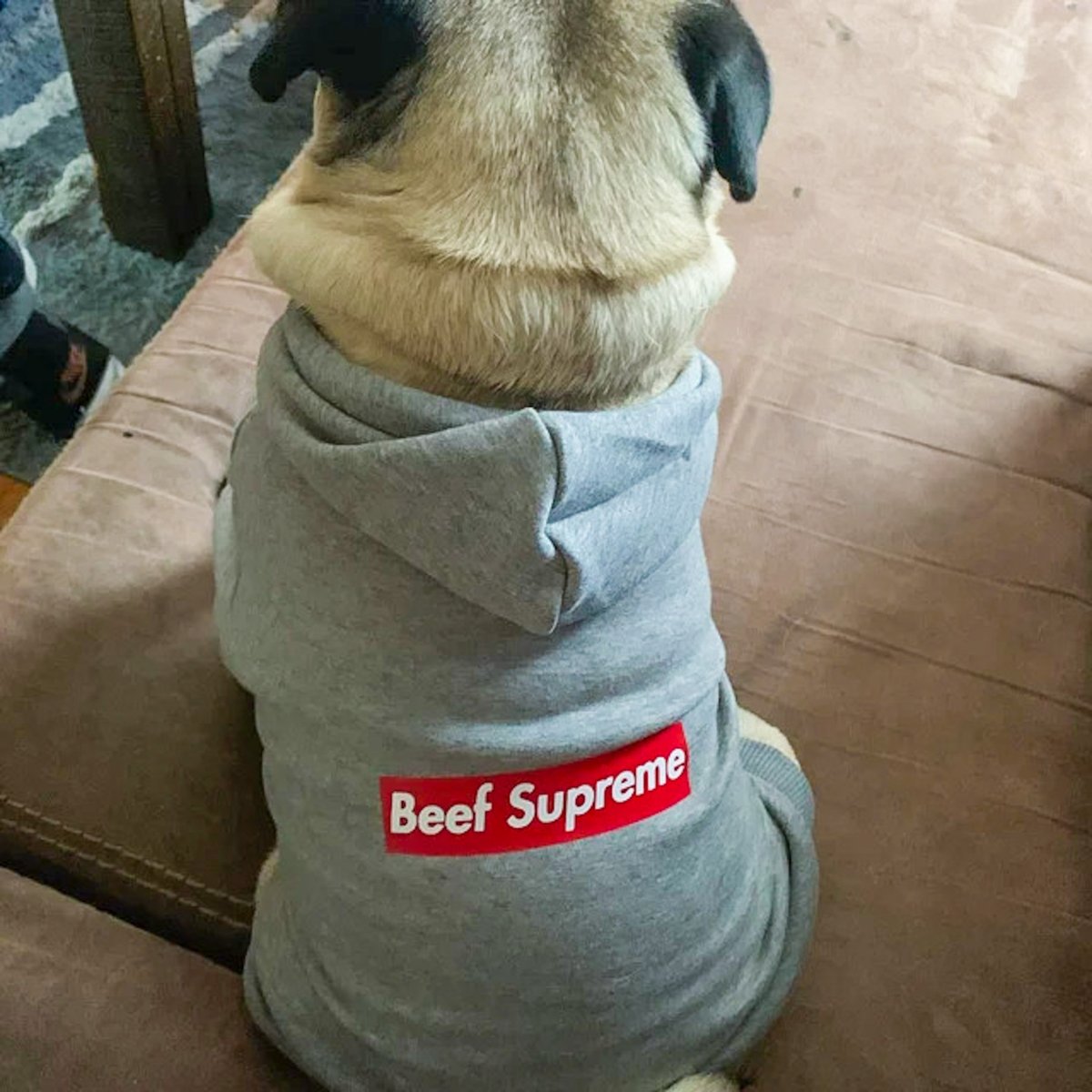 It's MR. Beef Supreme to you! 💁‍♂️

#dogsweater #cutedogclothes