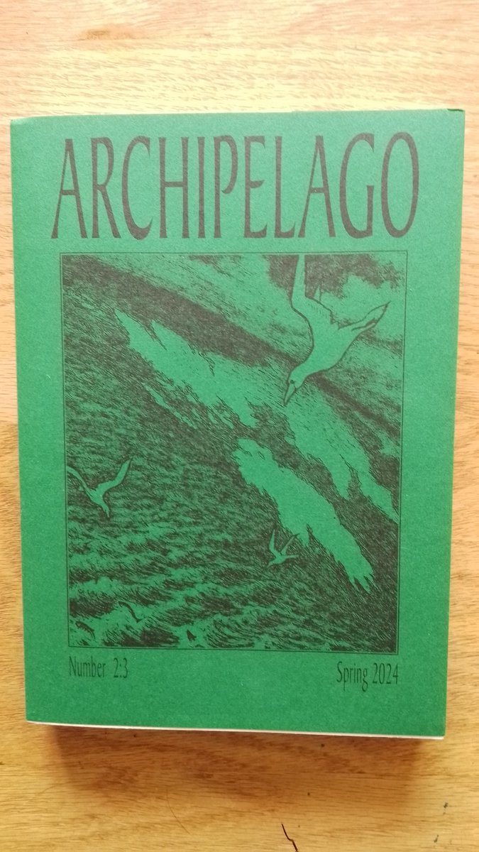 There's an online launch event for the new issue of Archipelago on Tues 9th April, 7pm. All welcome. Please register here: zoom.us/meeting/regist… Hosted by @dedalusdenaries Readings from Andrew McNeillie, Fiona Stafford, John Purser, Alan Riach, Moya Cannon, Gerald Dawe & me.