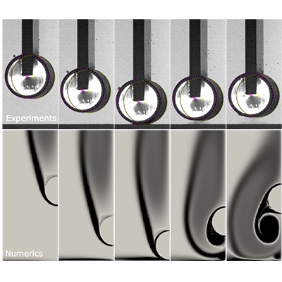 How do cylinders falling in a viscous fluid bounce off walls? Aguilar-Corona et al. expand on the idea of the 'apparent coefficient of restitution' and show the importance of details such as roughness and elasticity at the point of contact. go.aps.org/3IZTwNH #fluiddynamics