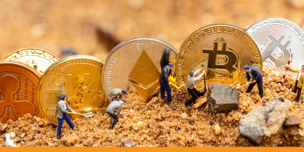 Through its solid financial performance, #GryphonMining $GRYP reaffirms its position as a resilient and adaptable player in the crypto mining sector, earning the trust and confidence of investors. 🌟