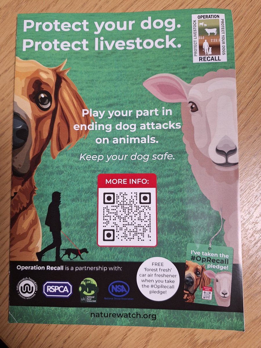 Today the RCT from Stroud have visited a Farm where several sheep were attacked by dogs 4 sheep were injured & 1 had to be put to sleep Please be a responsible dog owner and know where your dog is and always keep it on a lead where there is livestock #oprecall @Glos-OPCC