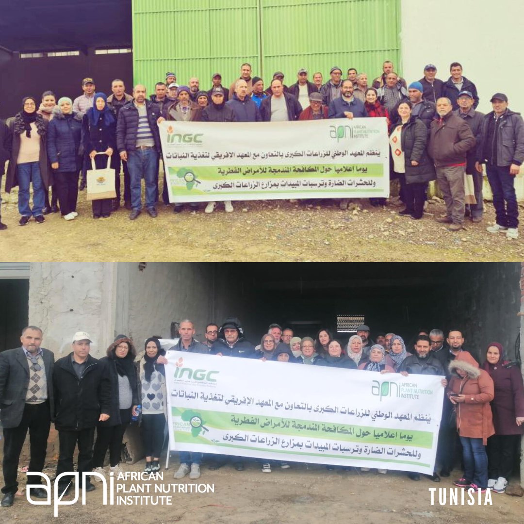 Recently, our Tunisia-based #NUTCAT and #APNRF platforms served as living labs for 7 field days, led by partner Dr. Mouna Mechri from @INGC, in collaboration with ag retail companies @Les Grands Silos de Beja & @Collecte Céréalière du Nord.