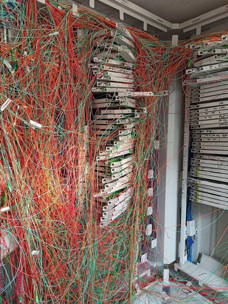 eric bellec tweet media