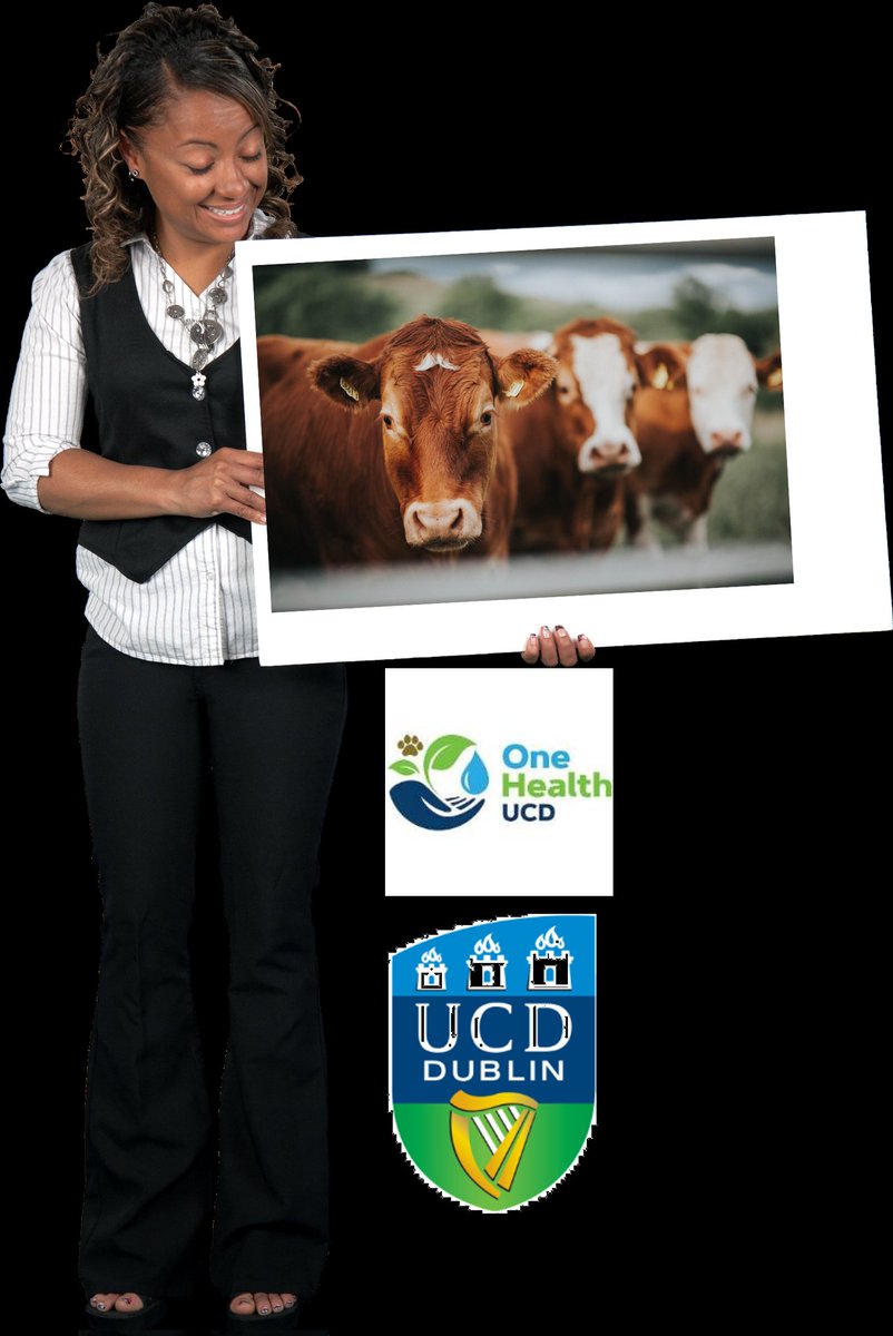 MScAnimalScienceUCD (@mscansc) on Twitter photo Putting you at the centre of Future Sustainable Livestock Systems - the online MSc in Animal Science UCD. Open for applications. Where will you go from here? <a href="/ucdagfood/">UCD School Ag & Food</a> Putting you at the centre of Future Sustainable Livestock Systems - the online MSc in Animal Science UCD. Open for applications. Where will you go from here? <a href="/ucdagfood/">UCD School Ag & Food</a>