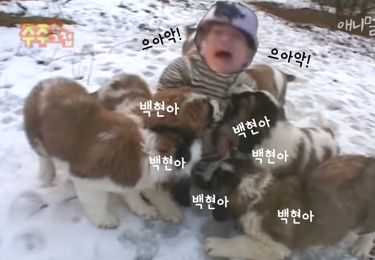 뽀쨧쨕.뽀로록록록쨔자작쨕₊· 백현이 tweet media