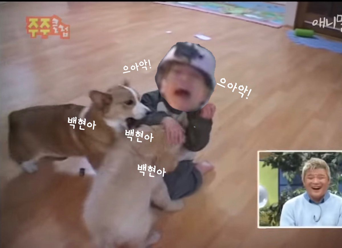 뽀쨧쨕.뽀로록록록쨔자작쨕₊· 백현이 tweet media