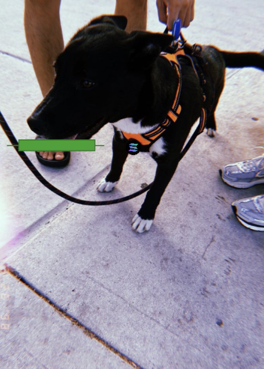 Zeus on Solana tweet media