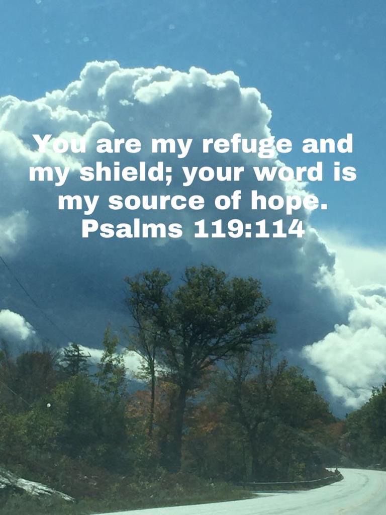 JesusChristsGod's tweet photo. You are my refuge and my shield;I have put my hope in your word.
Ps.119.114 https://t.co/4kaXPf6B0q