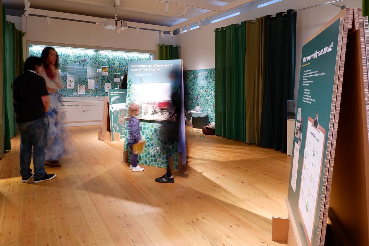 Students from two secondary schools in Surrey conceived and curated the temporary exhibition 'What is A Weed' for the Royal Horticultural Society Wisley, Woking. A project for @rhswisley designed with @thatdavidsudlow and built by @standard8design #exhibition #cocuration #design