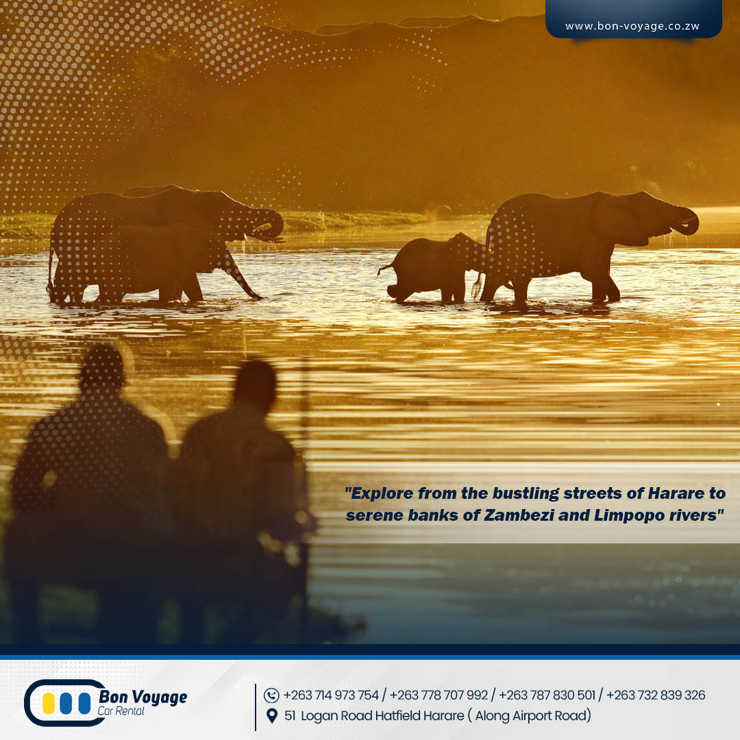 Explore from the bustling streets of Harare to serene banks of Zambezi and Limpopo rivers.
#hireacarzimbabwe #carrentalservice #carhireservices #bonvoyagecarrental
bon-voyage.co.zw