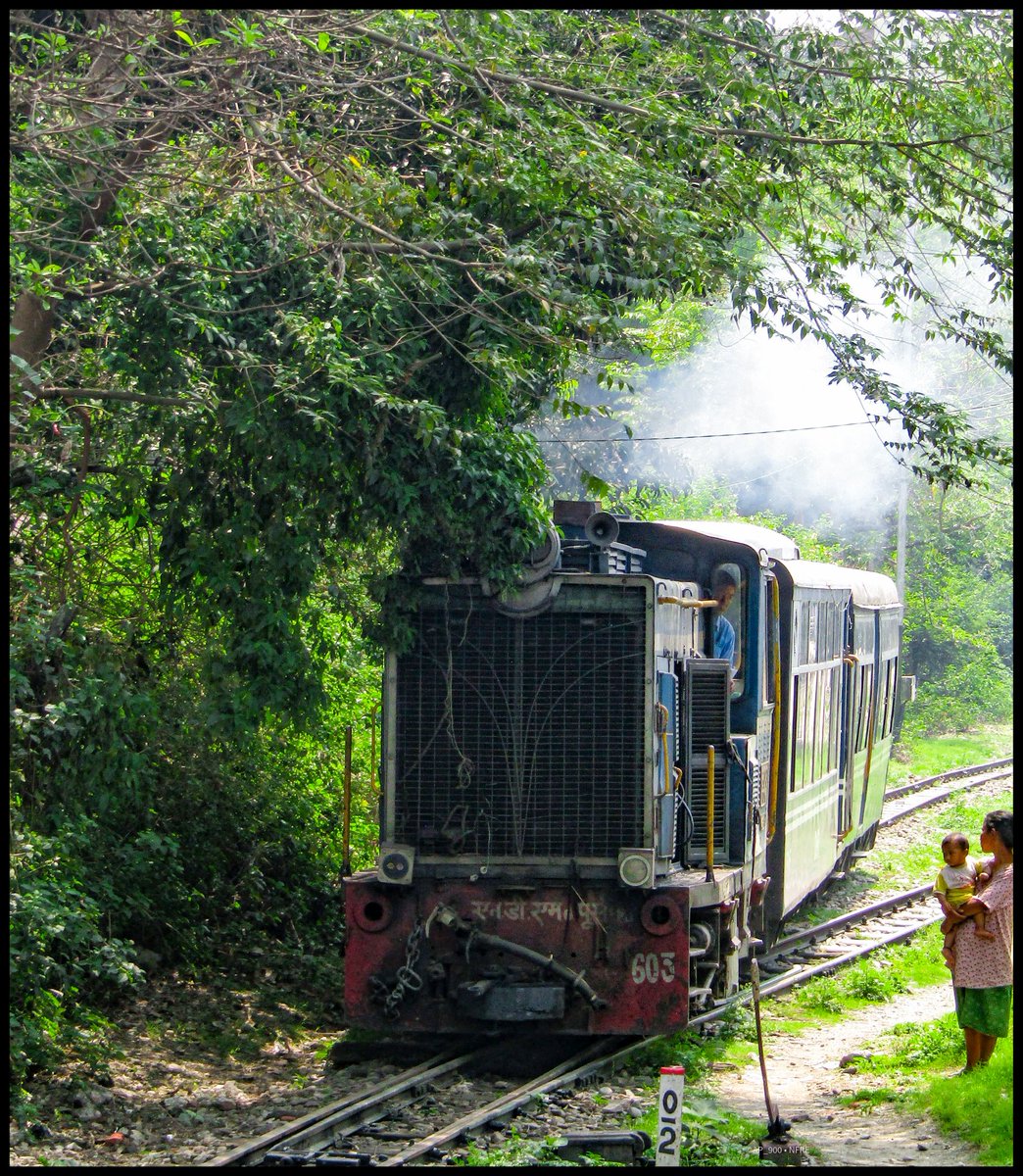 #DarjeelingHimalayanRailway ..!⭐ 

Inframe - SGUJ #NDM6 #603 christened as #TRIDHARA leads the 52541 #NewJalpaiguri - #Darjeeling #TOYTRAIN !

#NFRailEnthusiasts
@reachdhr | @drm_kir | @RailNf | @RailMinIndia