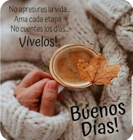 Buenos dias. Apesar de la lluvia, con toda la actitud enpezamos la semana laboral. #buenmiércoles para todos!! 🤗🌧☕️🏋🏽‍♀️🌲🌬🌴🐞😊🍀🫂