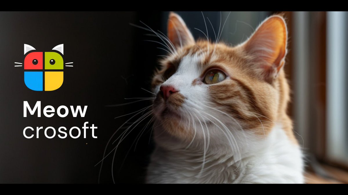 meowcrosoftSOL tweet media