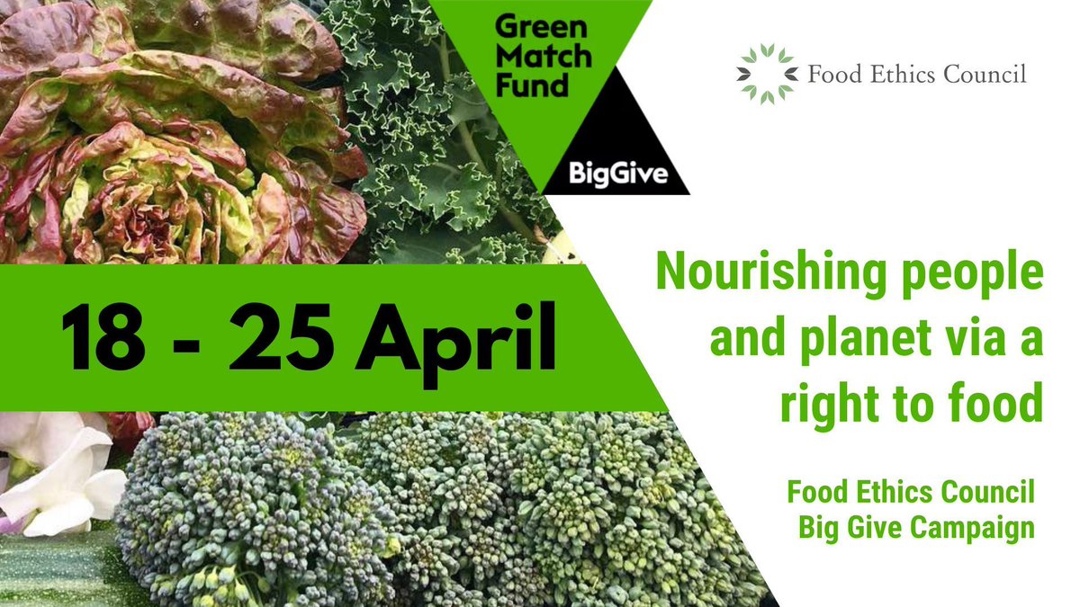 Join us in paving the way to a #RightToFood in the UK. Support our @BigGive #GreenMatchFund campaign from April 18 - April 25 and your donation will be doubled 🙌 helping to make accessible, affordable, nutritious & sustainable food a reality in the UK. buff.ly/43CZb5K