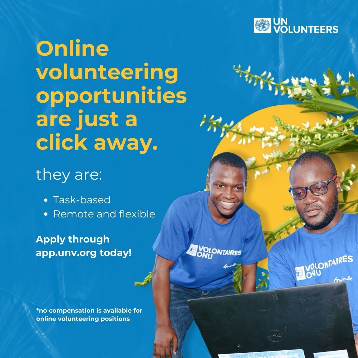 Did you know that @UN has an online volunteering service? Register on 🔗app.unv.org 🔗 and use your skills and dedication to make a difference in global initiatives worldwide. ⤵️ P.S. There are over 120 opportunities available right now!