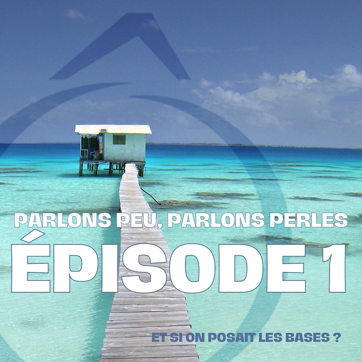 PerlesduParadis's tweet photo. PODCAST : PARLONS PEU PARLONS PERLES 
par Kahaia et Nathalie Le Gloahec
« Et si on posait les bases ? », Épisode 1
Si le terme « perliculture » vous semble énigmatique, ne vous inquiétez pas, nous sommes là pour tout vous expliquer. 
https://t.co/ICCPaMY75x https://t.co/XmewyjfPjl