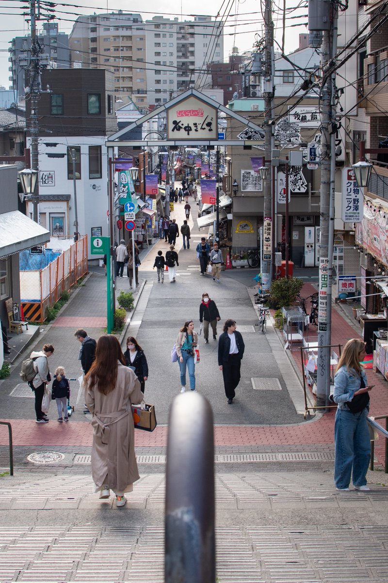 Laura 🌻 tweet media