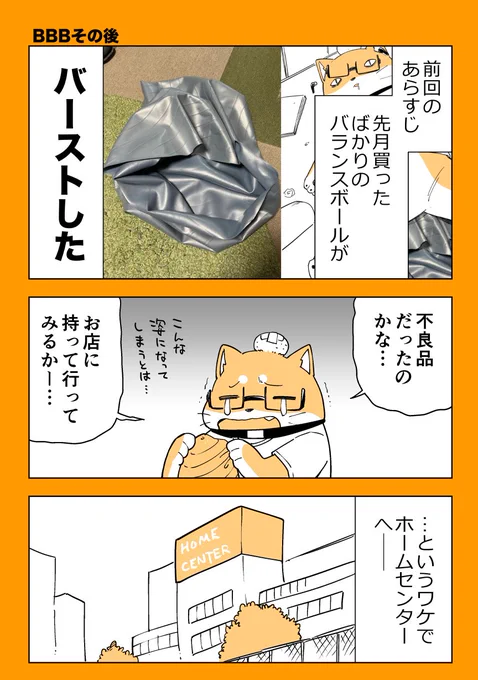 バランスボールが割れたマンガその2
1/2

#漫画が読めるハッシュタグ 