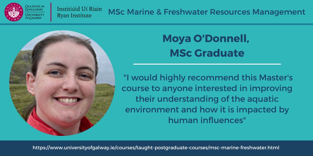 🌊Want a career that faces the challenge of relieving the aquatic environment from human impact? The MSc in Marine and Freshwater Resources: Management could be the one for you! Enrol here 👉bit.ly/3KYYl9S via @RyanInstitute @UniofGalway