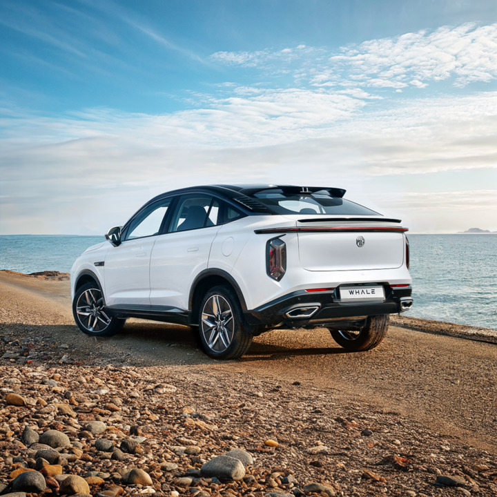 MGMiddleEast's tweet image. Inspired by the majestic creatures of the ocean, embrace the captivating beauty and visionary craftsmanship of the all-new MG WHALE. #MGWhale #DrivenByPassion

مستوحاة من عالم البحار الآسر. تأمّلوا الجمال والحرفية العالية في إم جي  WHALEالجديدة كلياً. #إم_جي_WHALE #قيادة_بشغف