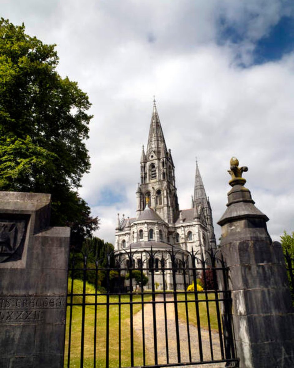 Discover Cork's iconic St. Fin Barre's Cathedral, 15 minutes from The Metropole Hotel. A masterpiece of Victorian Gothic architecture awaits your exploration 🕍✨ Book Your Next City Escape Here 👉 loom.ly/C2mPIAE #Cork #PureCork #TheMetropoleHotel