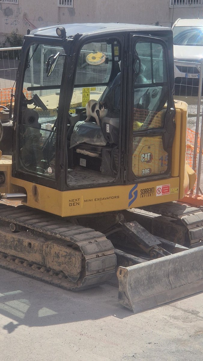 Impossibile che un gatto guidi un escavatore... Già 🤣🤣