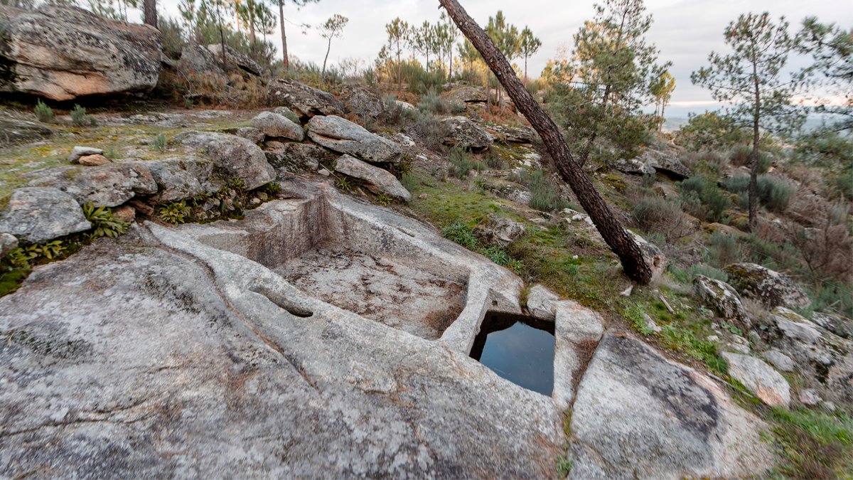 Vinhos de lagares rupestres. Preparado?
Quinta do Salvante apostada em perpetuar tradição milenar em Trás-os-Montes.

revistadevinhos.pt/beber/vinhos-d…