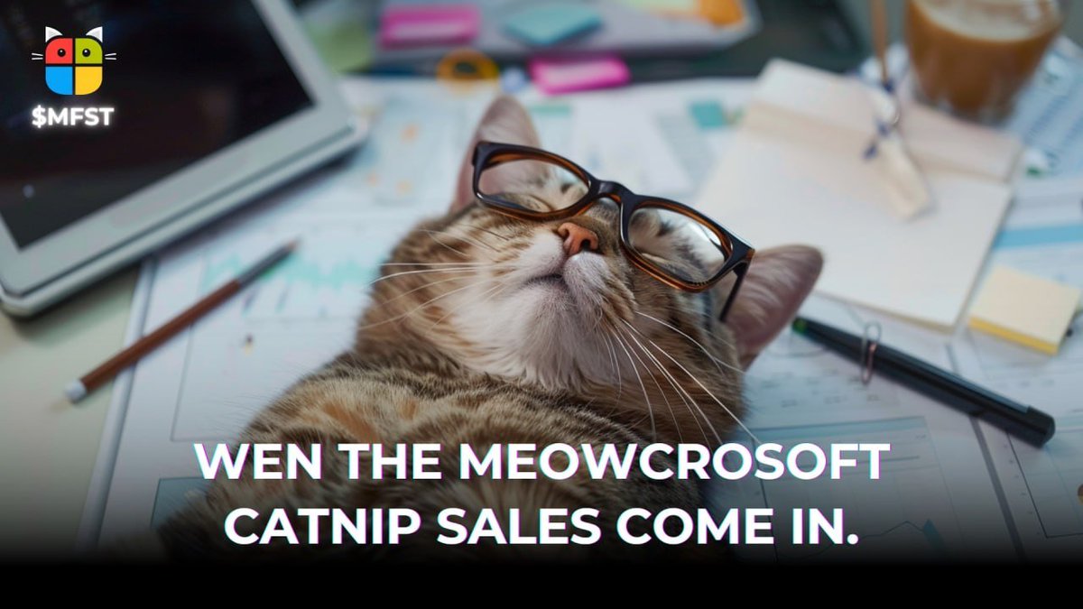 meowcrosoftSOL tweet media