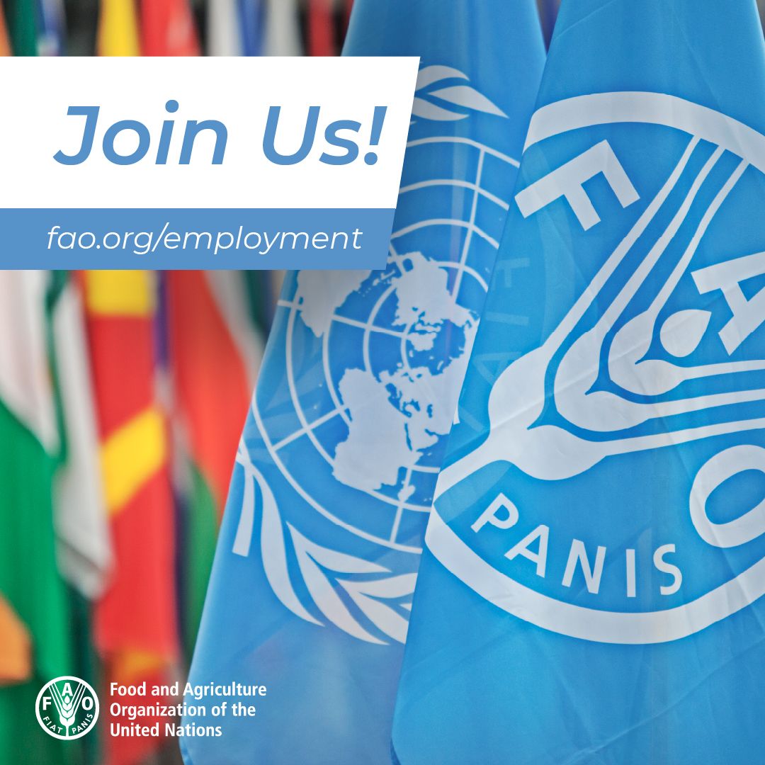 #JobOpportunity ❗️ @FAOSocioEcon 's Agrifood Systems and Food Safety Division is seeking a Project Officer (Agrifood Systems) Deadline: 23 April | Details & application instructions👇 jobs.fao.org/careersection/…