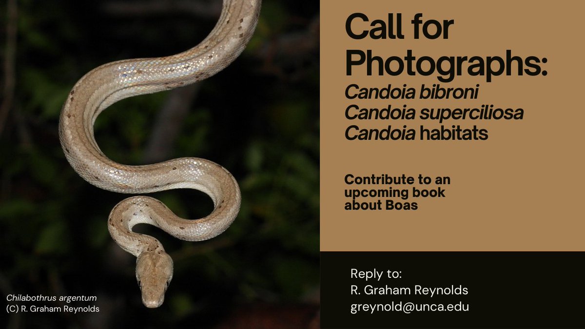 Does anyone have any images they've taken of the below boa species? If so, two of our Snake Specialist Group members, A/Prof Graham Reynolds and Professor Bob Henderson, would love to hear from you for their upcoming book, 'Boas of the World'!