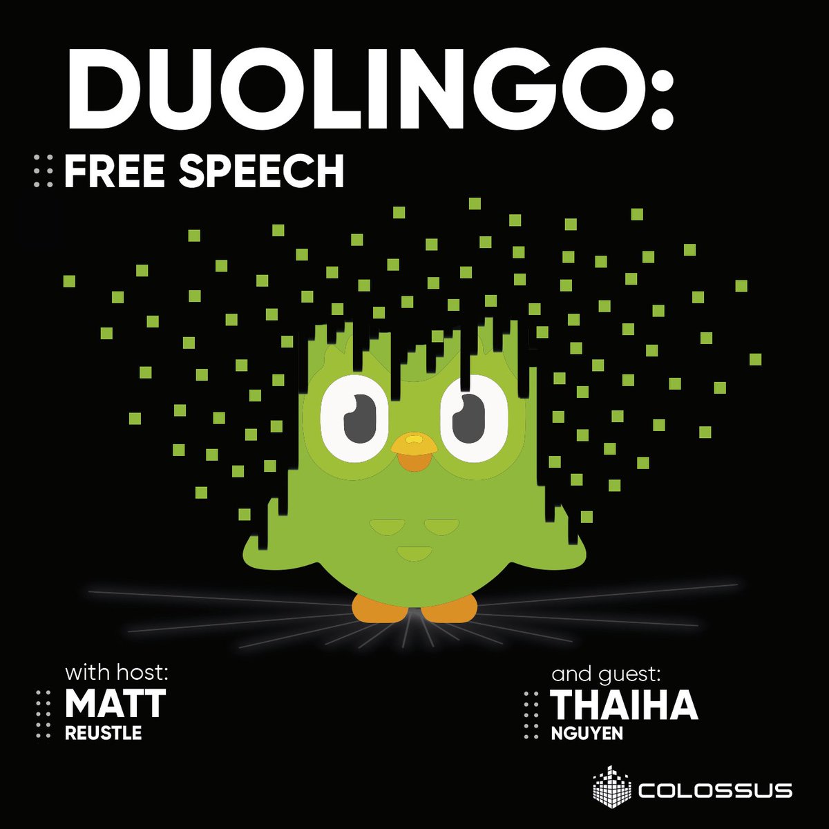 Today, we break down Duolingo. The company was founded by Luis von Ahn in 2011 and has helped over 500 million people learn languages since then. Before starting Duolingo, Luis invented reCAPTCHA, which he sold to Google in 2009. Duolingo's mission is to offer free education,…