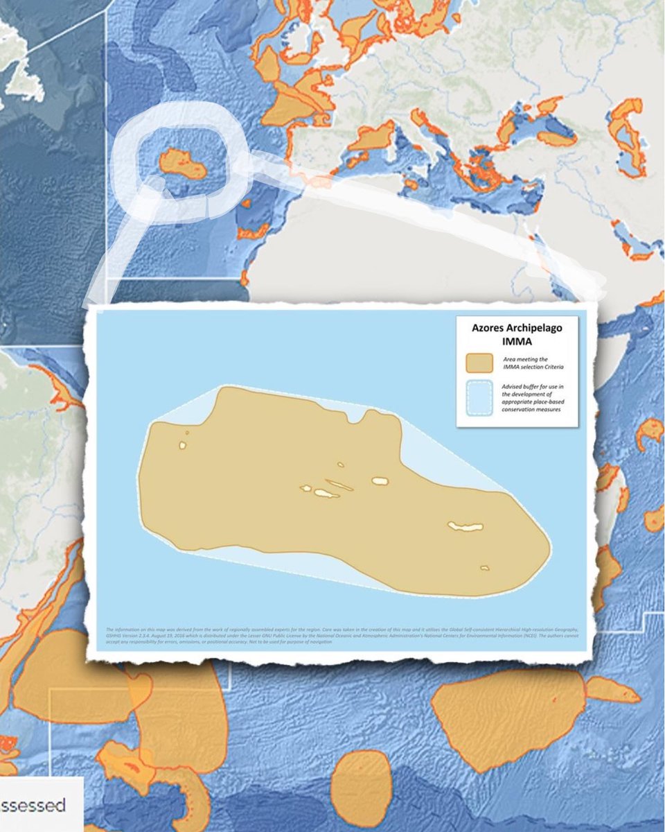 Azores Whale Lab - Cetacean Ecology Group (@azwhalelab) on Twitter photo The <a href="/AzWhaleLab/">Azores Whale Lab - Cetacean Ecology Group</a> contributes to the creation of an Important Marine Mammal Area (IMMA) for the Azores encompass within an initiative that has created 33 new IMMAs in the North East Atlantic Ocean and Baltic Sea and was led by the <a href="/IUCN/">IUCN</a> Marine Mammal Protected Areas Task Force The <a href="/AzWhaleLab/">Azores Whale Lab - Cetacean Ecology Group</a> contributes to the creation of an Important Marine Mammal Area (IMMA) for the Azores encompass within an initiative that has created 33 new IMMAs in the North East Atlantic Ocean and Baltic Sea and was led by the <a href="/IUCN/">IUCN</a> Marine Mammal Protected Areas Task Force