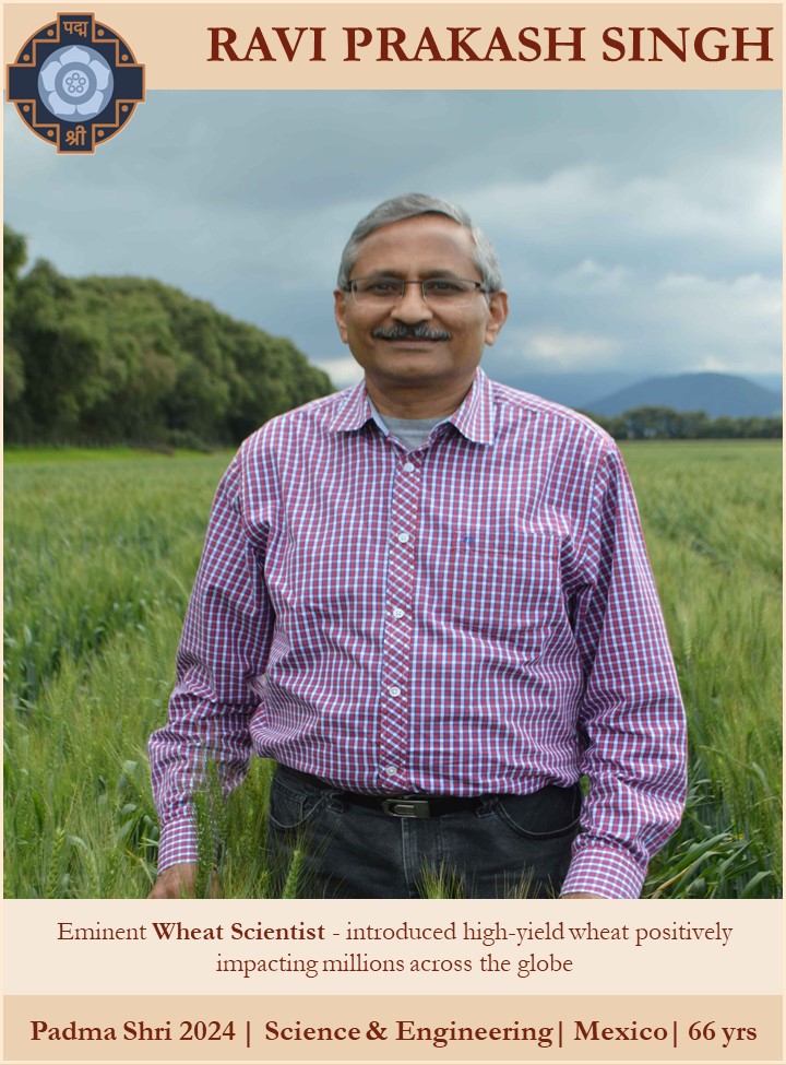 Shri Ravi Prakash Singh, Eminent Wheat Scientist - introduced high-yield wheat positively impacting millions across the globe #PeoplesPadma #PadmaAwards2024