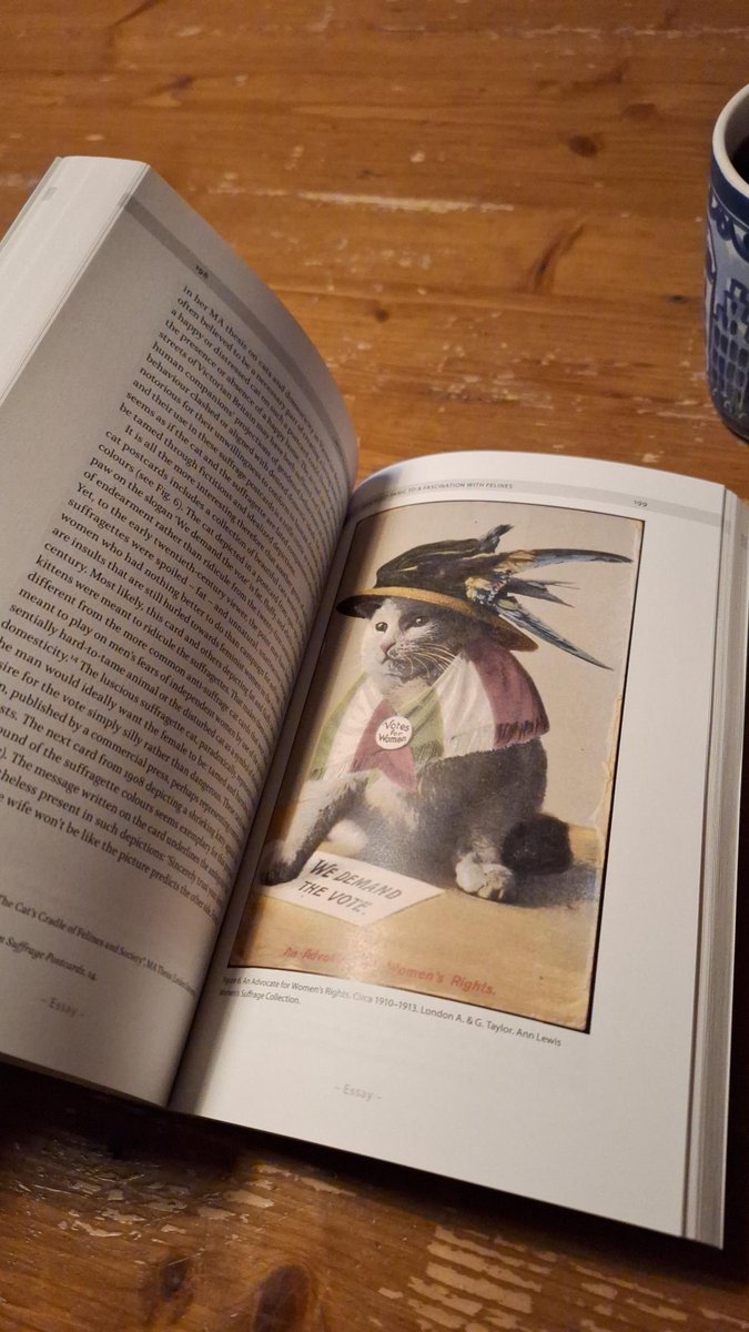 The fact that I maganed to write a research essay on cat history may be one of my greatest accomplishments so far! Thanks to @WildPasts_ and all other editors of @JaarboekVrouwen for accepting the cats.The book 'Gender and Animals in History' can be bought via @AmsterdamUPress