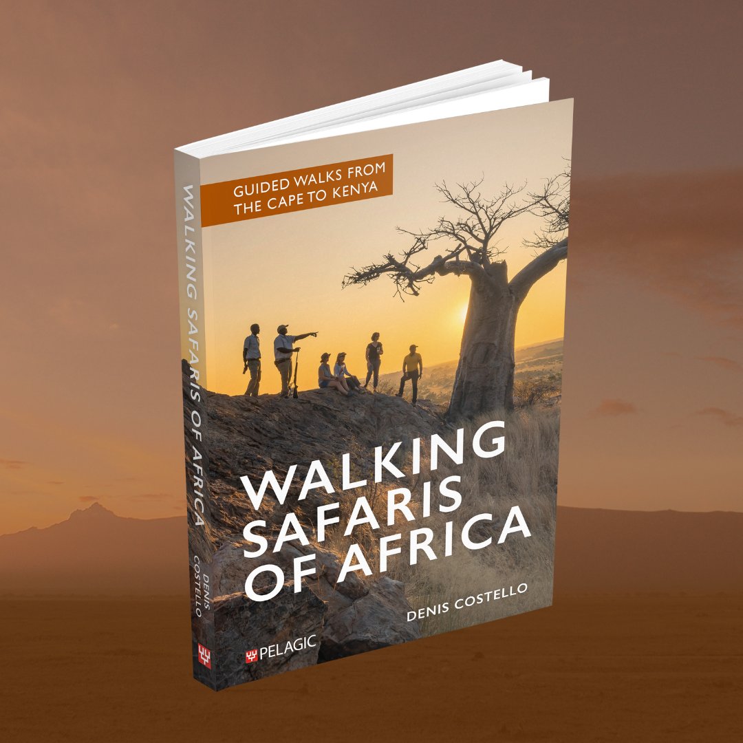 Coming soon! Walking Safaris of Africa by Denis Costello @FootSafaris 🦏🦁🦒 With information on walks for all levels of ability, this is the only guide to walking safaris covering all of Africa’s important safari destinations. 📖 Learn more ➡️ loom.ly/zeXrk3M