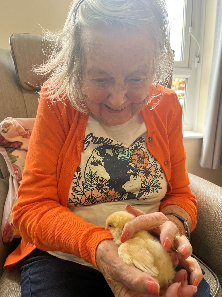 TrinityFold's tweet image. 🐤🐣